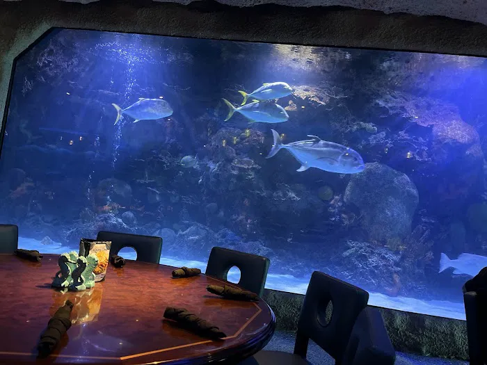 Aquarium Restaurant Picture 5