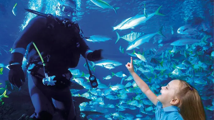 Aquarium Restaurant Picture 6