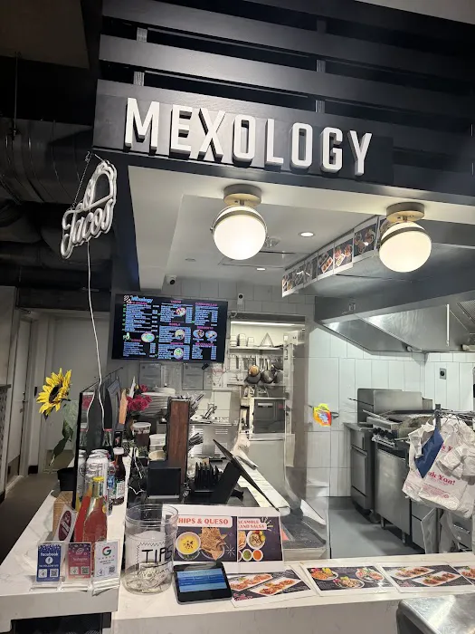 Mexology Picture 1
