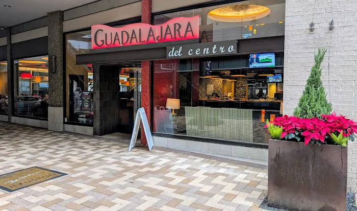 Guadalajara Del Centro Picture 8