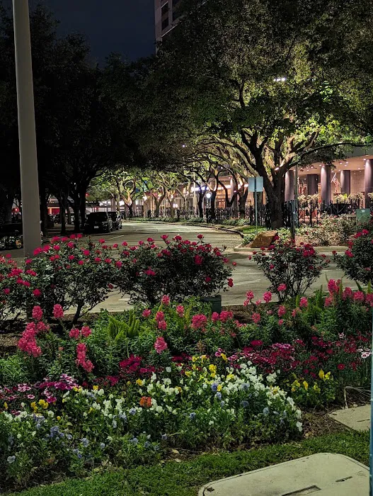 The Grove Picture 8