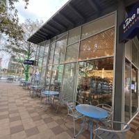 Lake House ico