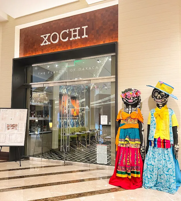 Xochi Picture 7