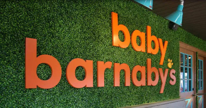 Baby Barnaby's Picture 3