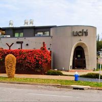 Uchi Houston ico