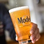 Botanic Beer Garden