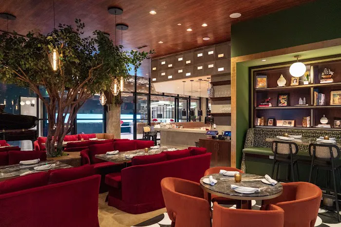 The Lymbar Picture 7