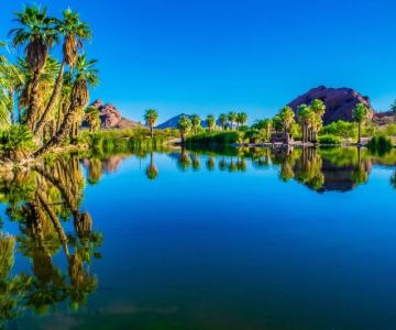Why Phoenix Is America's Hidden Gem for Foodies